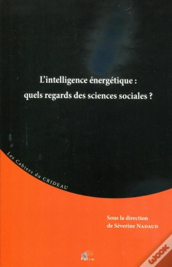 Capa do artigo Intelligence Énergétique : Quels Regards Des Sciences Sociales?
