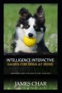 Intelligence Interactive Games For Dogs At Home - Preview
