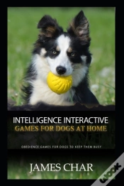 Capa do artigo Intelligence Interactive Games For Dogs At Home