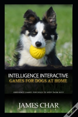 Capa do artigo Intelligence Interactive Games For Dogs At Home