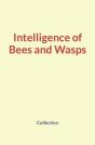Intelligence Of Bees And Wasps - Preview