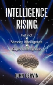 Capa do artigo Intelligence Rising