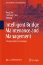Intelligent Bridge Maintenance And Management - Preview