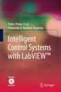 Intelligent Control Systems With Labview(Tm) - Preview