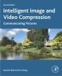 Intelligent Image And Video Compression - Preview