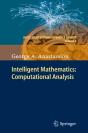 Intelligent Mathematics: Computational Analysis - Preview