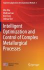 Intelligent Optimization And Control Of Complex Metallurgical Processes - Preview