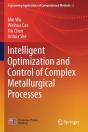 Intelligent Optimization And Control Of Complex Metallurgical Processes - Preview