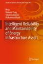 Intelligent Reliability And Maintainability Of Energy Infrastructure Assets - Preview