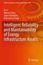 Intelligent Reliability And Maintainability Of Energy Infrastructure Assets - Preview