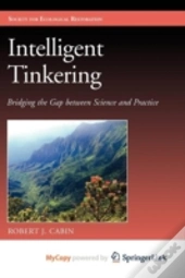 Intelligent Tinkering
