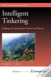 Capa do artigo Intelligent Tinkering