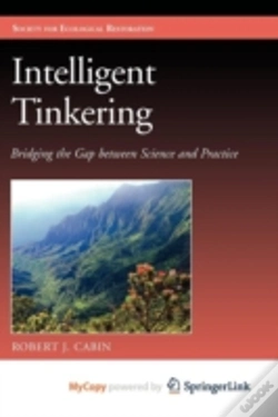 Capa do artigo Intelligent Tinkering