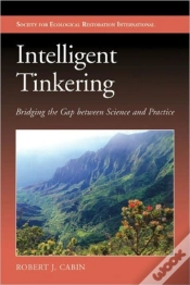 Capa do artigo Intelligent Tinkering