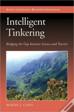 Capa do artigo Intelligent Tinkering
