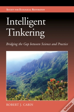 Capa do artigo Intelligent Tinkering
