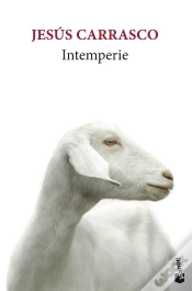 Capa do artigo Intemperie