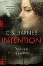 Intention - Preview