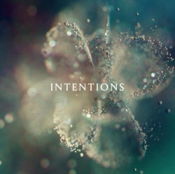 Capa do artigo Intentions - Vinil
