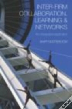 Capa do artigo Inter-Firm Collaboration, Learning And Networks