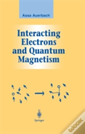 Capa do artigo Interacting Electrons And Quantum Magnetism