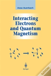 Capa do artigo Interacting Electrons And Quantum Magnetism