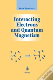 Interacting Electrons And Quantum Magnetism