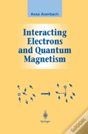 Capa do artigo Interacting Electrons And Quantum Magnetism