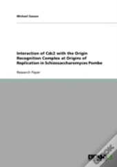Interaction Of Cdc2 With The Origin Recognition Complex At Origins Of Replication In Schizosaccharomyces Pombe