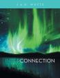 Interconnection - Preview