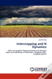 Intercropping And N Dynamics