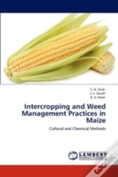 Intercropping And Weed Management Practices In Maize