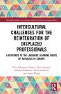 Intercultural Challenges For The Reintegration Of Displaced Professionals - Preview