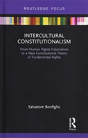 Intercultural Constitutionalism - Preview