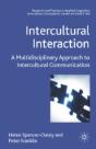 Intercultural Interaction - Preview