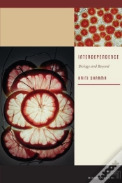 Capa do artigo Interdependence