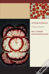 Interdependence