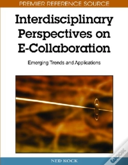 Capa do artigo Interdisciplinary Perspectives On E-Collaboration