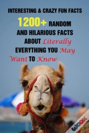 Capa do artigo Interesting & Crazy  Fun Facts