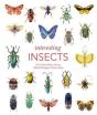 Interesting Insects - Preview