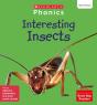 Interesting Insects (Set 7) - Preview