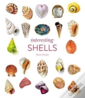 Capa do artigo Interesting Shells