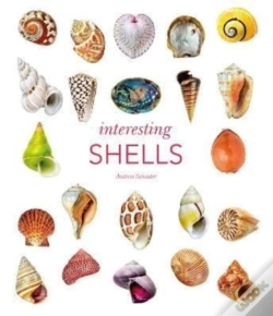 Capa do artigo Interesting Shells