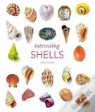 Interesting Shells