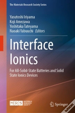 Capa do artigo Interface Ionics