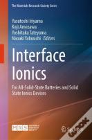 Interface Ionics