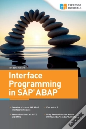 Interface Programming In Sap Abap