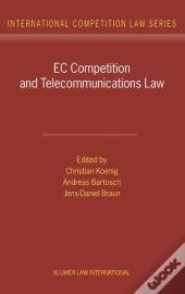 Interfacing Between Lawyers And Computers