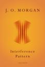 Interference Pattern - Preview