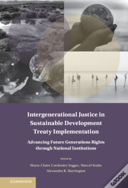 Capa do artigo Intergenerational Justice In Sustainable Development Treaty Implementation